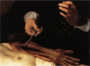 Dr. Nicolaes Tulp’ın Anatomi Dersi